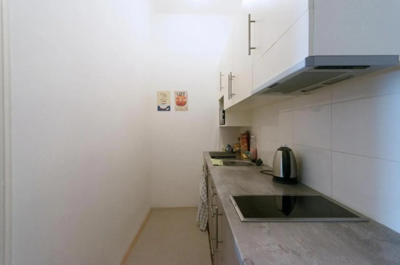 Central Prague Wenceslas Square Apartments Repubblica Ceca